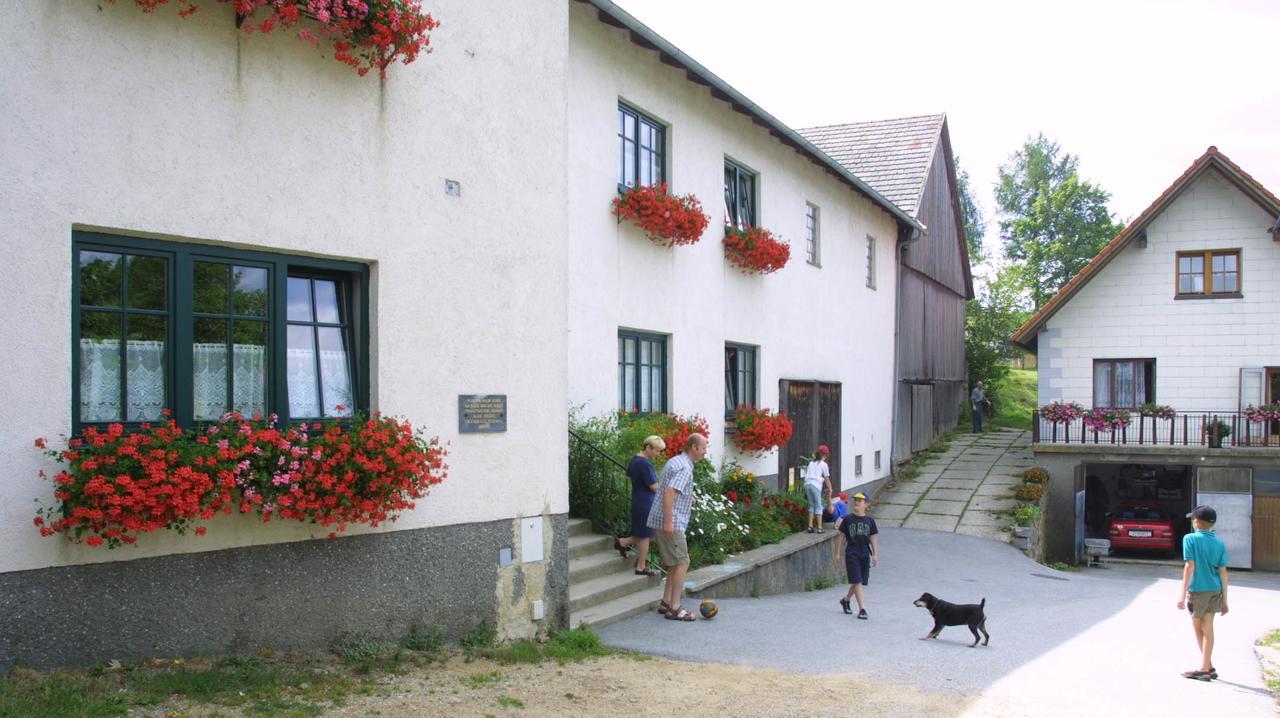 Ferienhof Stanzl Rappottenstein 외부 사진