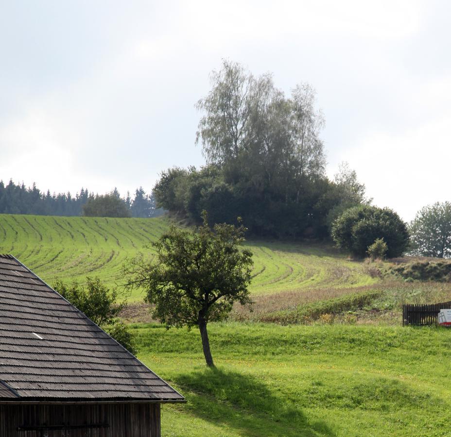 Ferienhof Stanzl Rappottenstein 외부 사진